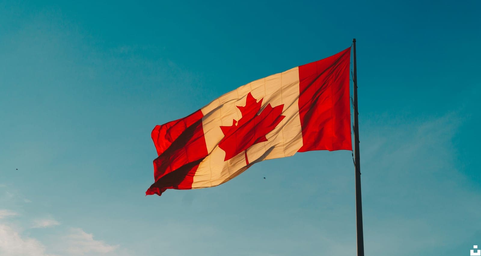 CAD to INR: Your Honest Guide to Sending Money to India from Canada