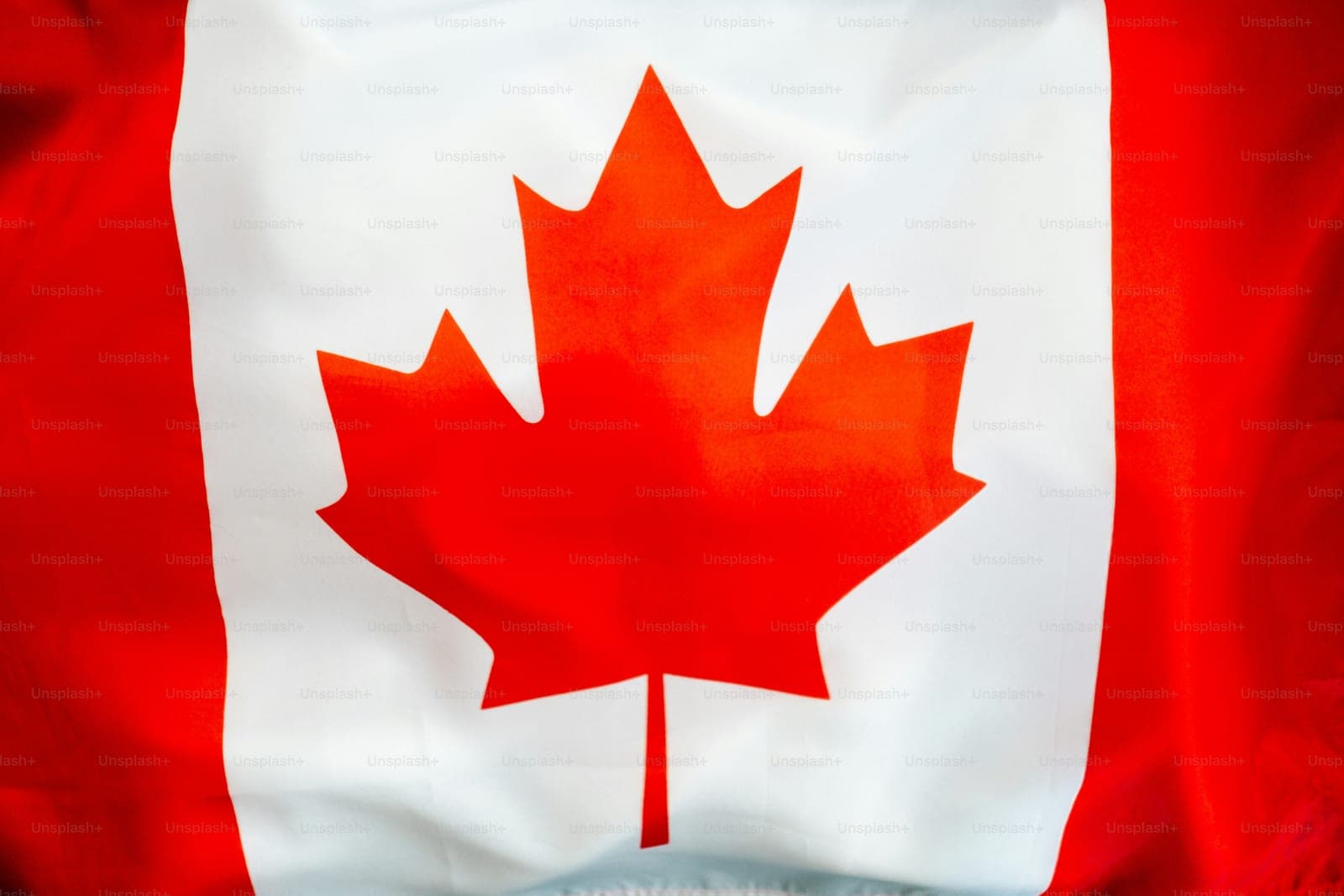 How Much Does It Really Cost to Send CAD to India? Full Breakdown